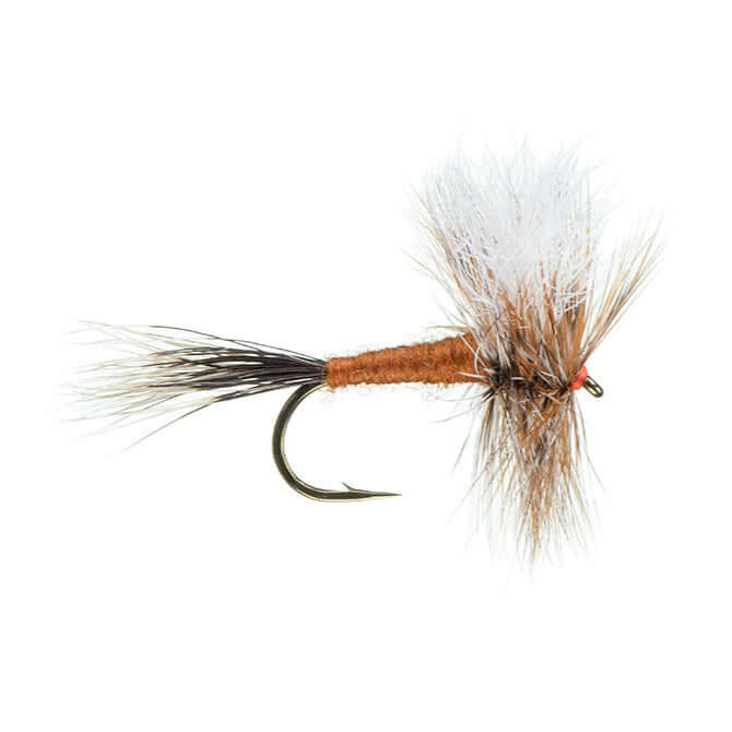 Ausable Wulff – Drift Outfitters