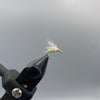 Galloup's Downed Caddis