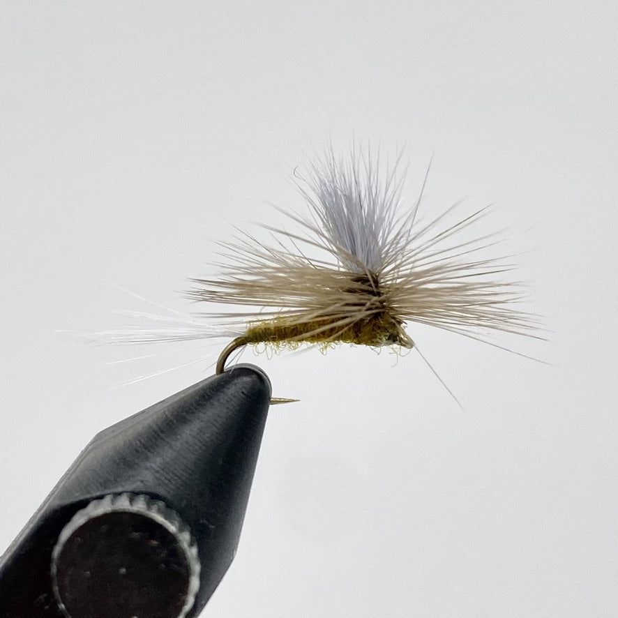 Parachute BWO – Drift Outfitters