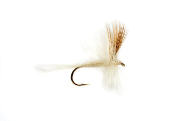 Light Cahill Dry Fly