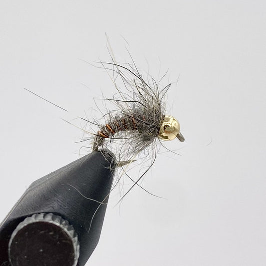 BH Caddis Pupa