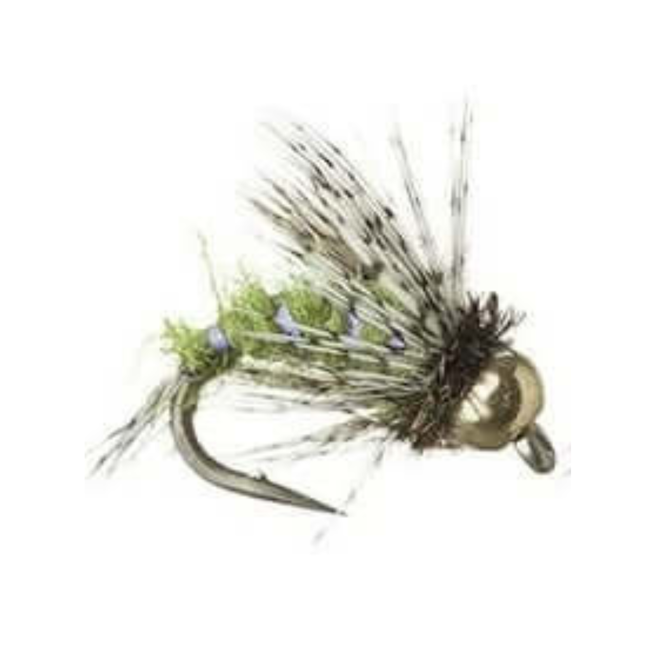 Anderson's Bird of Prey olive