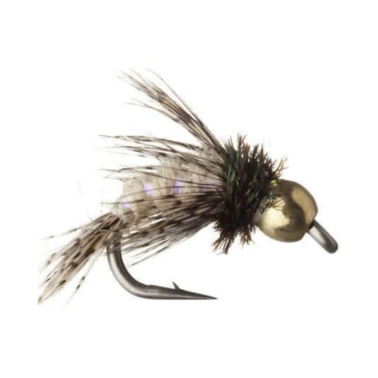 Anderson's Bird of Prey