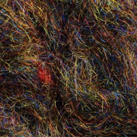 Arizona Simi Seal canadian black