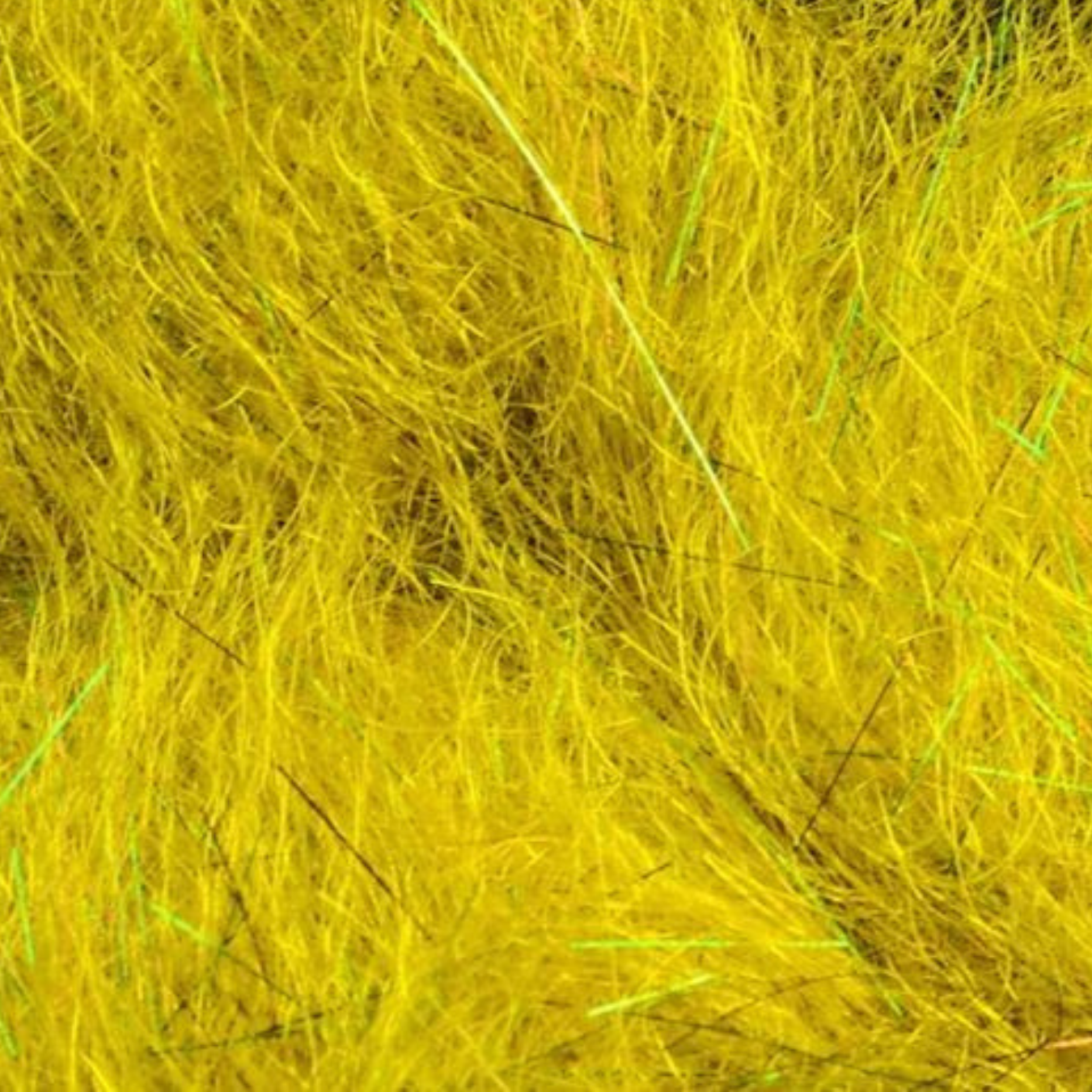 Arizona Simi Seal golden olive