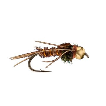 Bead Head Pheasant Tail Nymph
