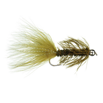 Bead Head Woolly Bugger Olive