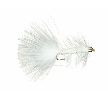 Bead Head Woolly Bugger White