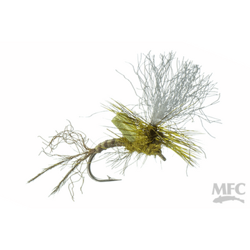 Bootys DL Cripple BWO