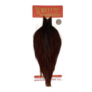 Whiting - Rooster Bronze Neck