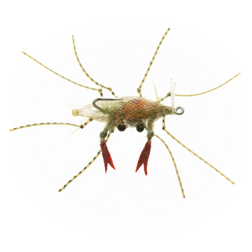 EP - Soft Shell Grass Size #1 - Orange Egg