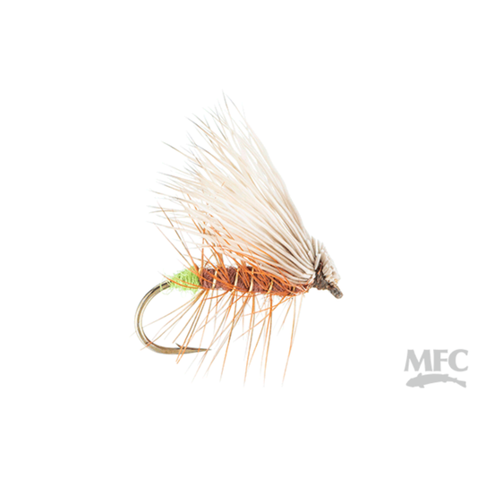 Elk Hair Caddis - Egg Laying Brown