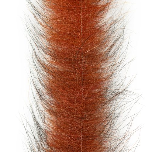 Enrico Puglisi - Foxy Brush