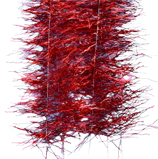 Enrico Puglisi - Thunderstruck Brush