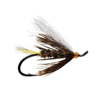 Flies_Freshwater_Steelhead_SteelheadCoachman