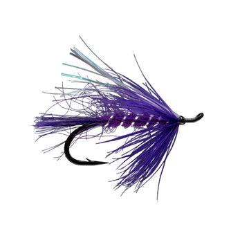 Flies_Freshwater_Steelhead_Streetwalker