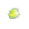 Flies_Freshwater_Streamers_Blob_WhiteChartreuse
