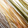 Fulling Mill Stripped Quills