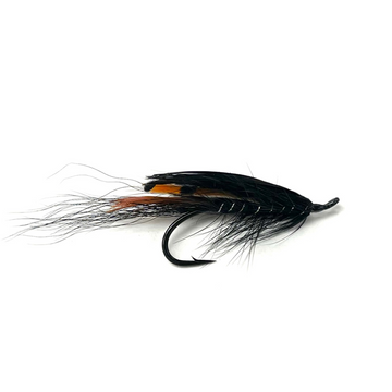 General Practitioner Fly