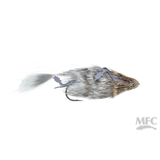 Hartley's Mouse Fly