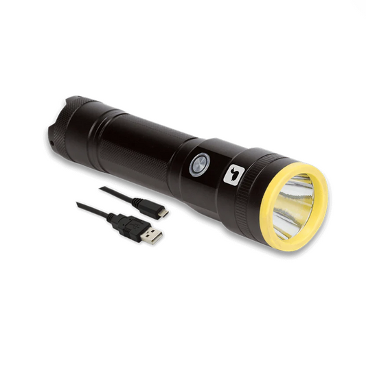 Loon  UV Plasma Light