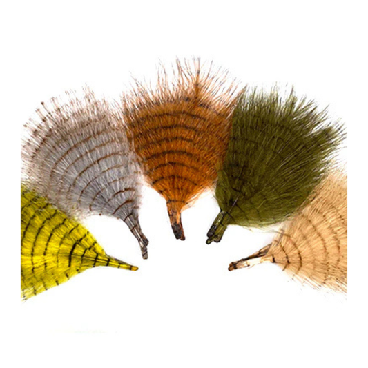 MFC Fine Barred Marabou