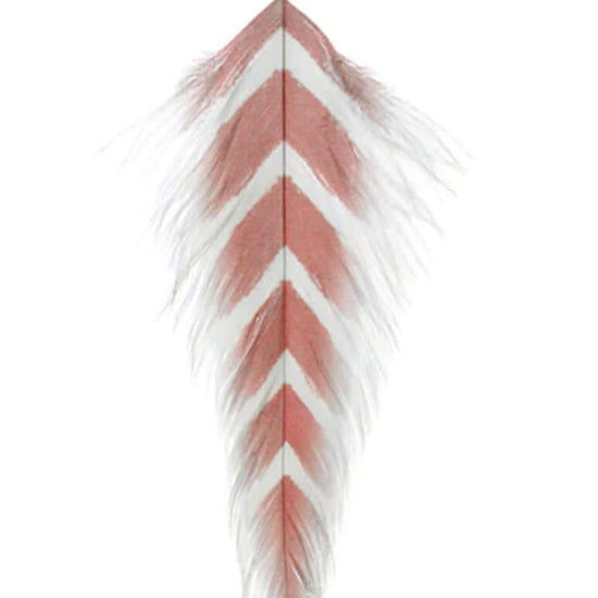 MFC Galloup's Fish Feathers.