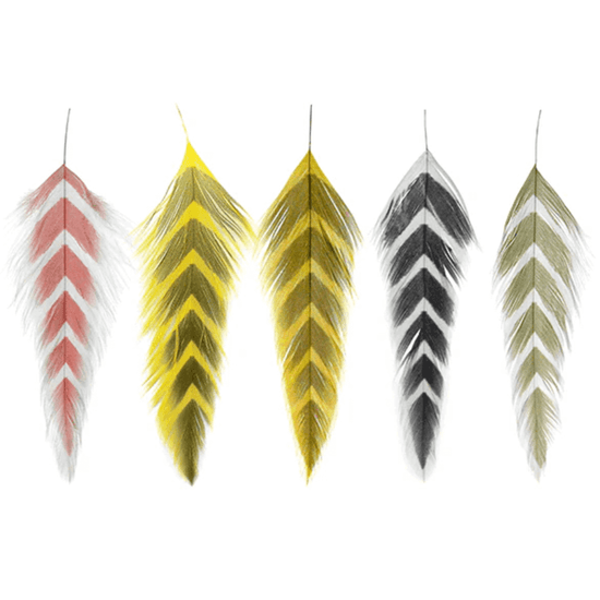 MFC Galloup's Fish Feathers.