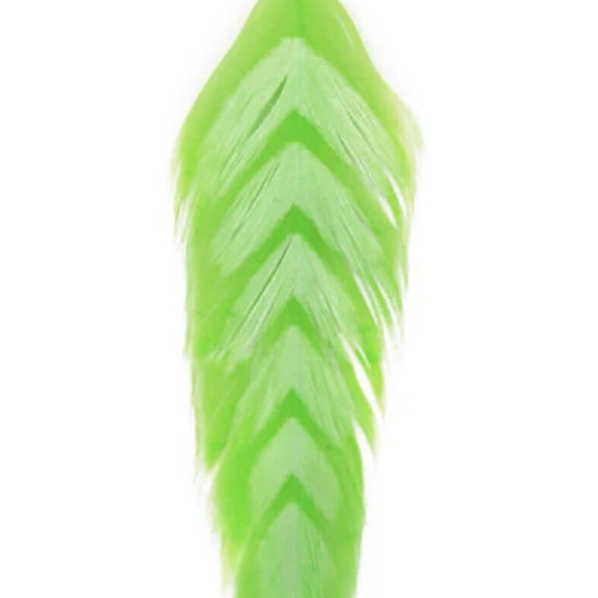 MFC Galloup's Fish Feathers.