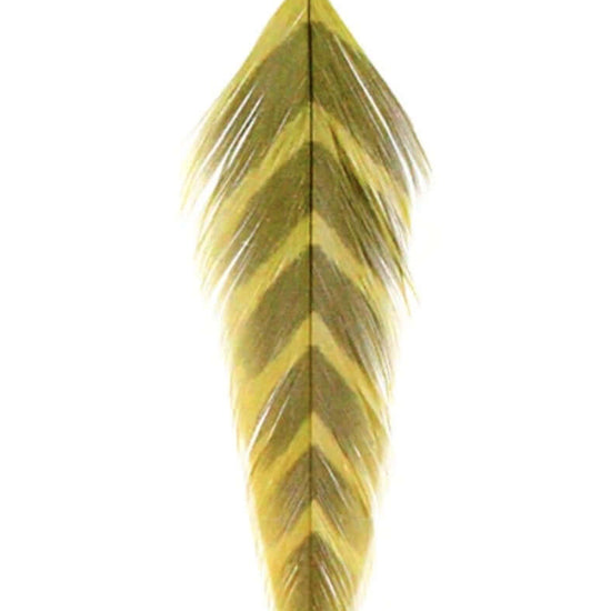 MFC Galloup's Fish Feathers.