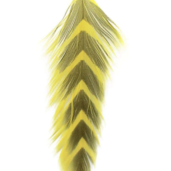 MFC Galloup's Fish Feathers.