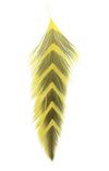 MFC Galloup's Fish Feathers