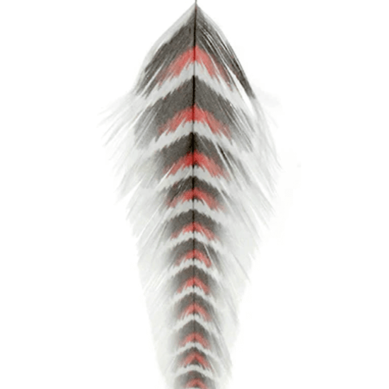 MFC Galloup's Fish Feathers.