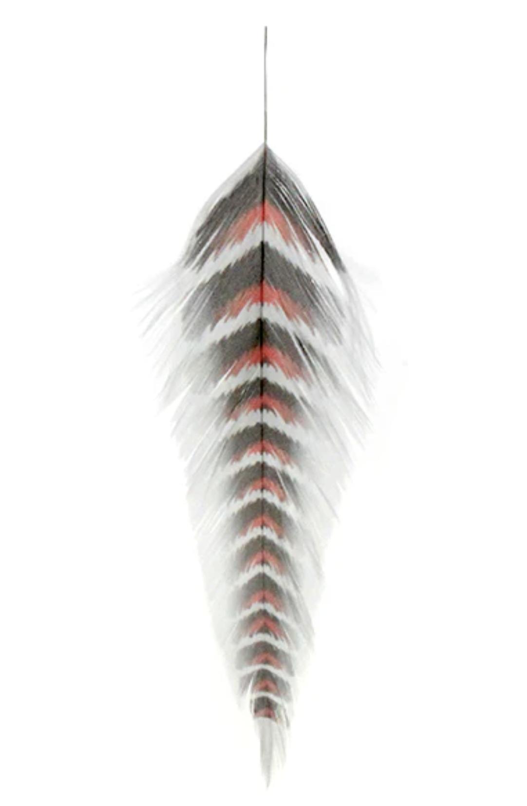 MFC Galloup's Fish Feathers