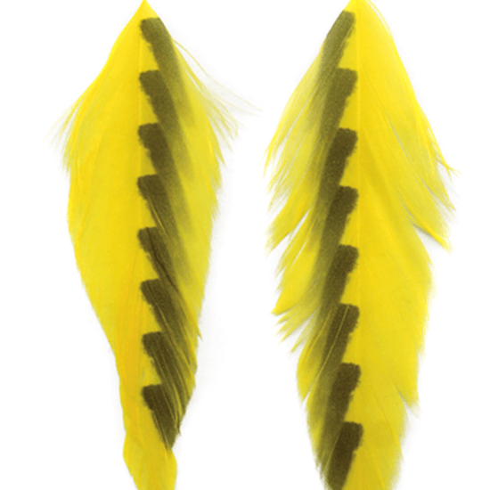 MFC Galloup's Fish Feathers.
