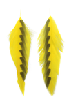 MFC Galloup's Fish Feathers