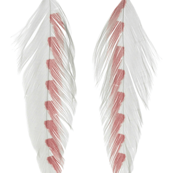 MFC Galloup's Fish Feathers.