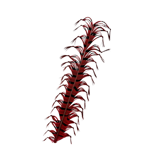 MFC - Legs On A Stick (Knotted Pheasant Tail)