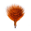 MFC Mini Barred Marabou Burnt Orange Black