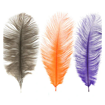 MFC Ostrich Plume