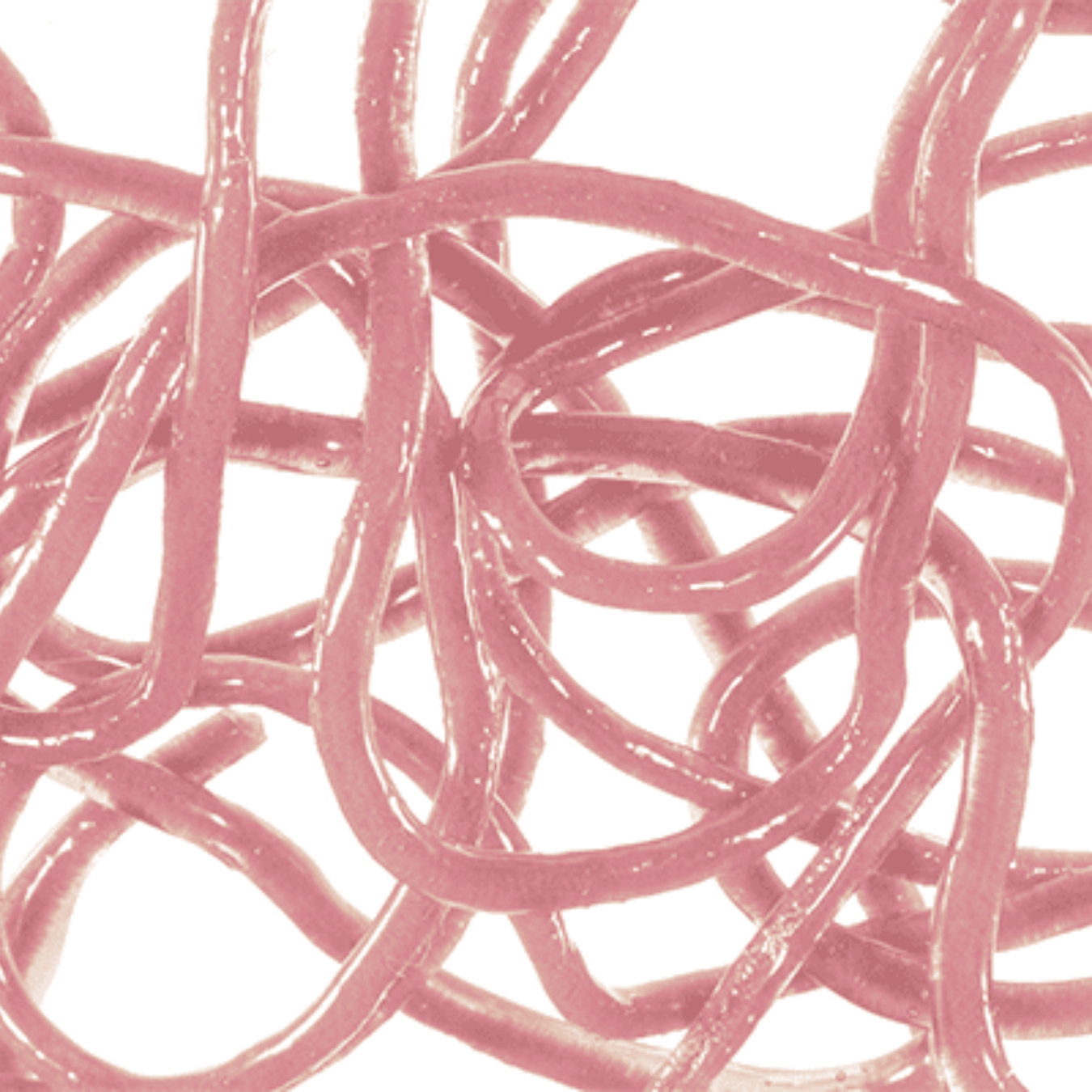 MFC Trina's Squirm Material pink