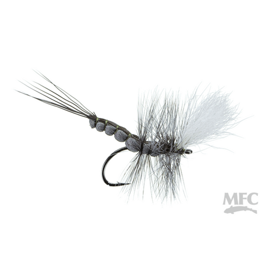 McCoy's Boondoggle Isonychia Spinner grey