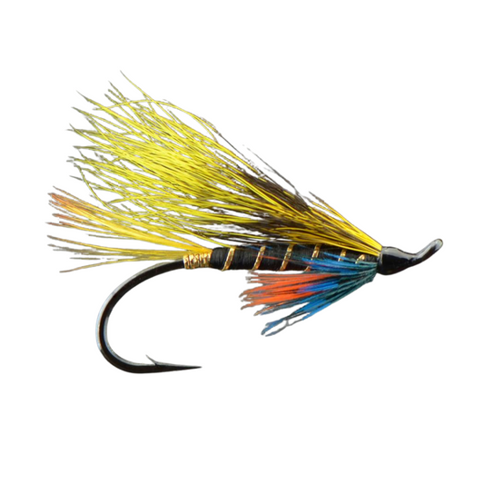 Munro's Killer Salmon Fly