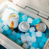 NorthICE The Day Tripper 3.5lb Reusable Cooler Ice