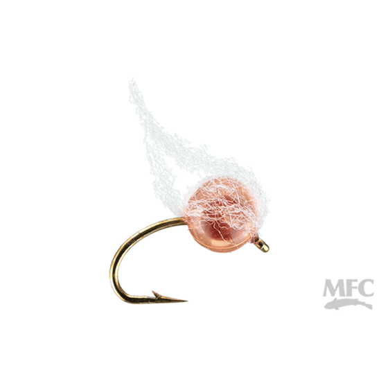 Otter's Embryo Egg Fly