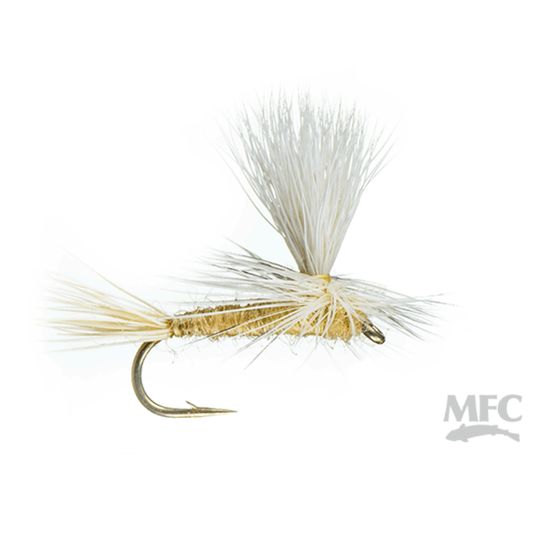 Parachute Light Cahill Dry Fly