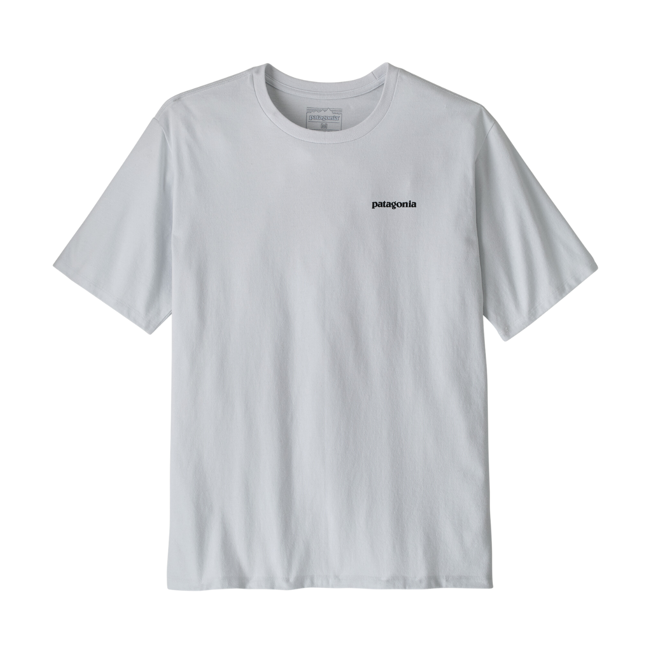 Patagonia Men's Take a Stand Responsibili-Tee Shirt