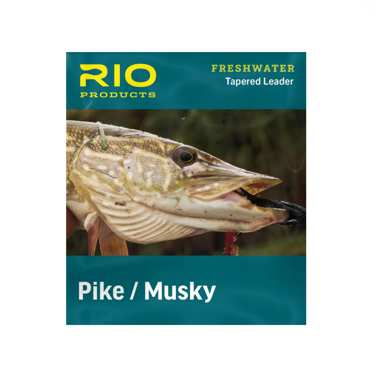 RIO Pike/Musky Tapered Leader