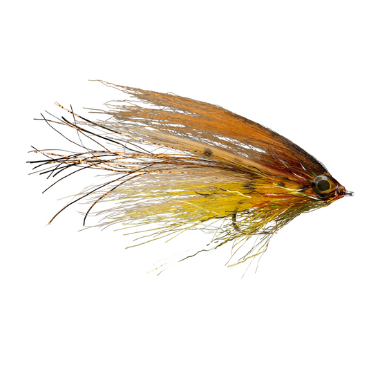 RIO's Flash Dance brown