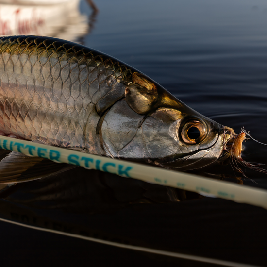 Redington Butter Stick Salt LE Fly rod